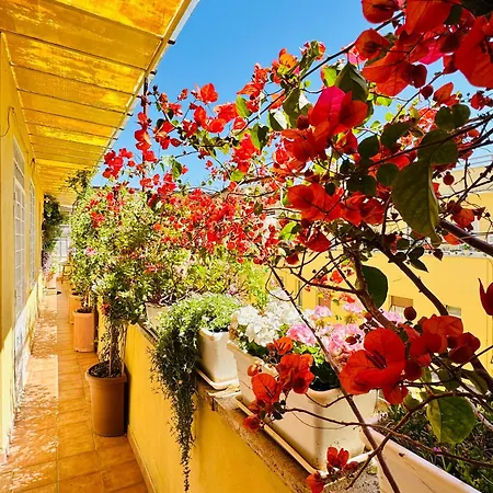 Otranto 36 Апартаменты *
