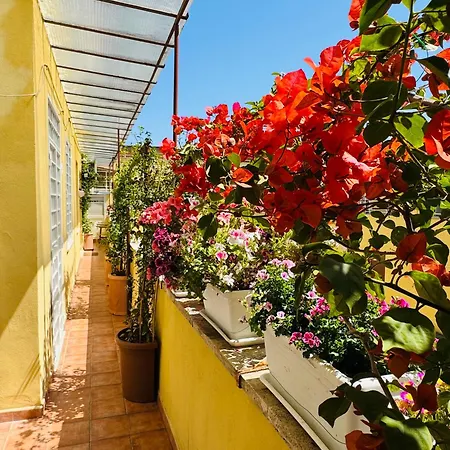 Otranto 36 Rome