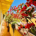 Otranto 36 Appartement *